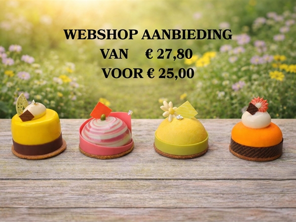 Webshop aanbieding